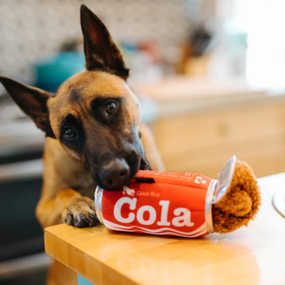 P.L.A.Y Party Time - Good Boy Cola