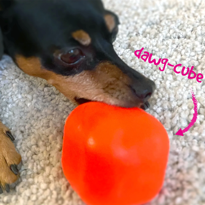 RuffDawg Dawg Cube