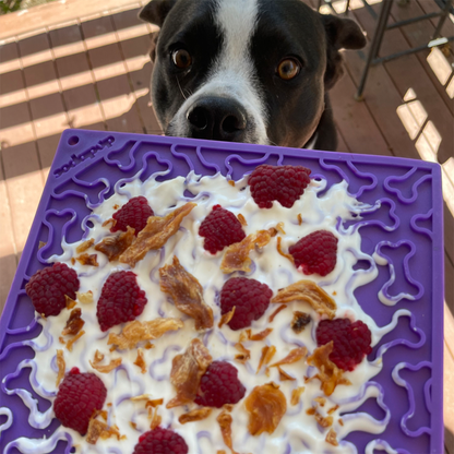 Sodapup Bones Design Enrichment (EMat) Lick Mat