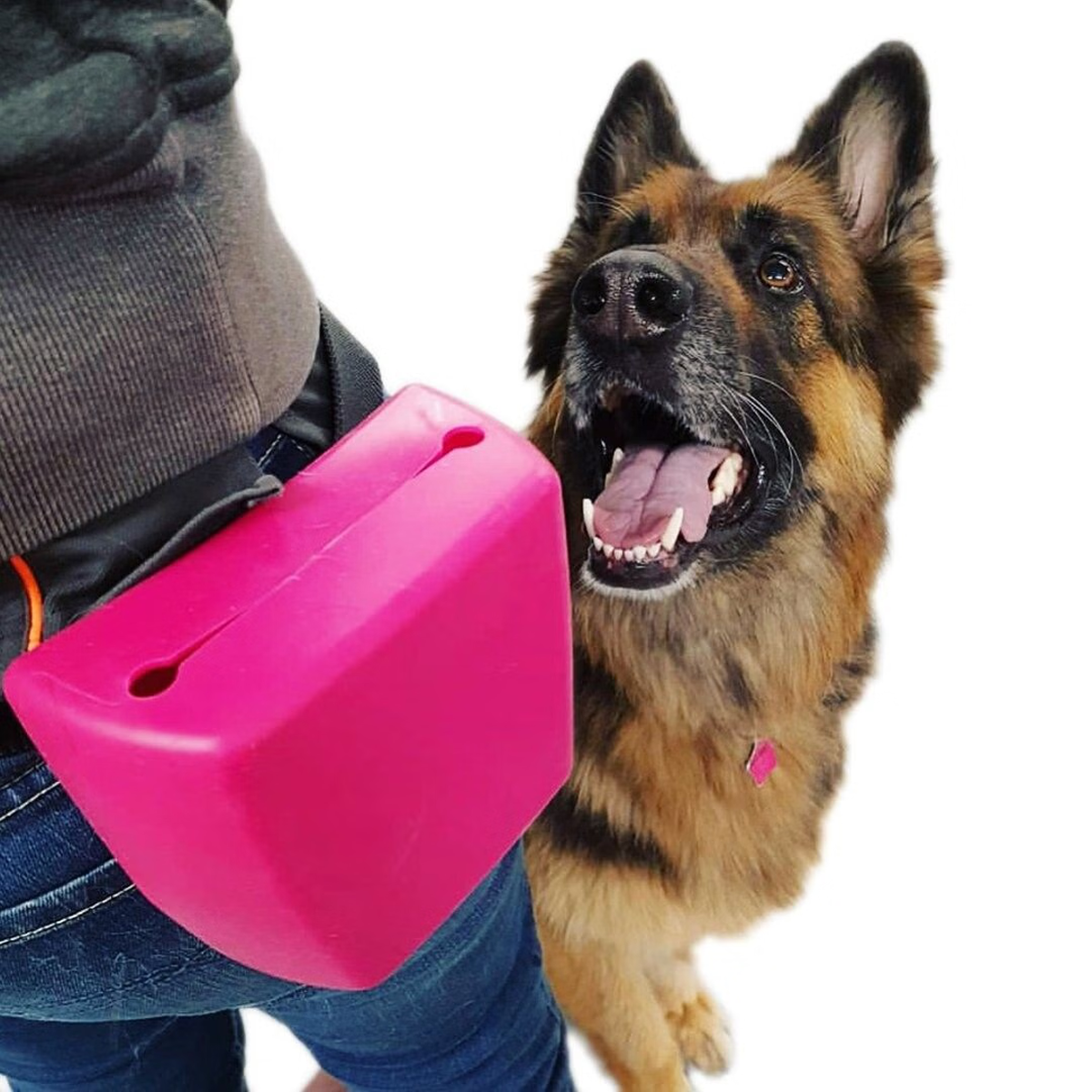 Silicone dog 2024 treat pouch australia