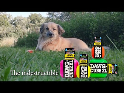 RuffDawg Dawg Cube